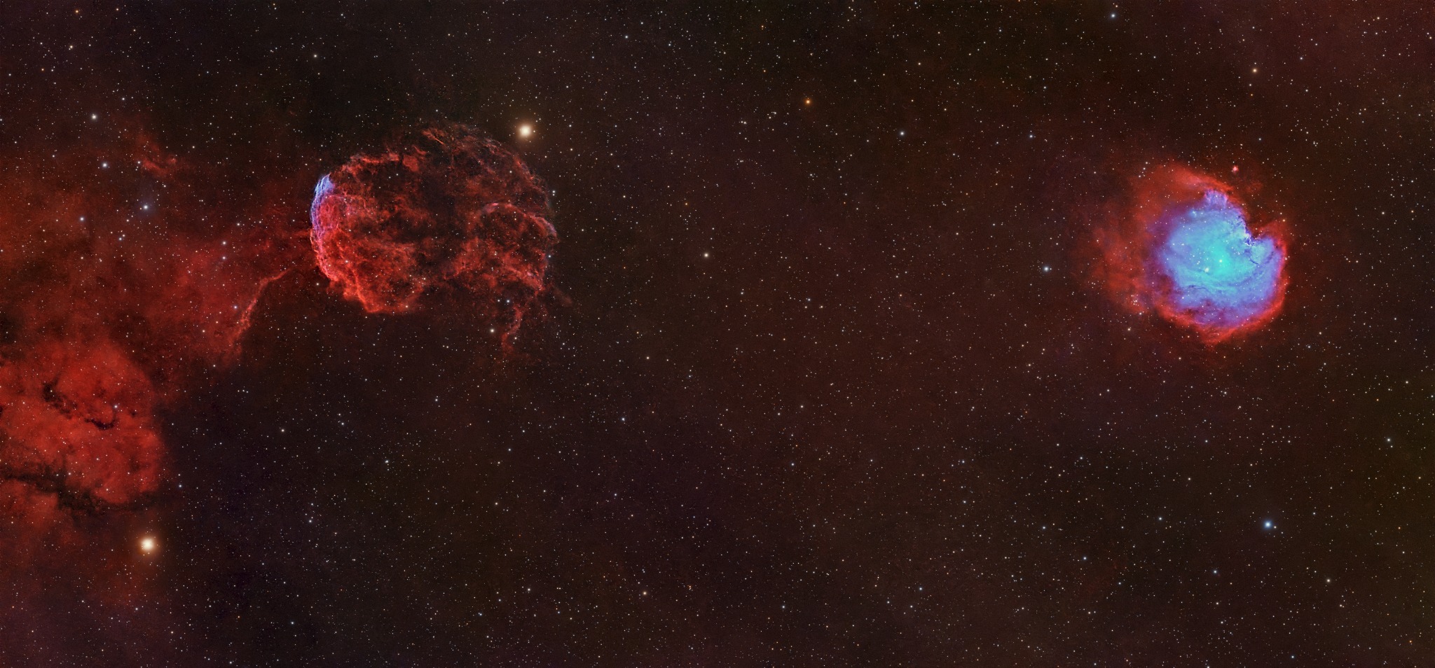 Wide-field astrophotograph of the Jellyfish and Monkey Head nebulae in a dense star field