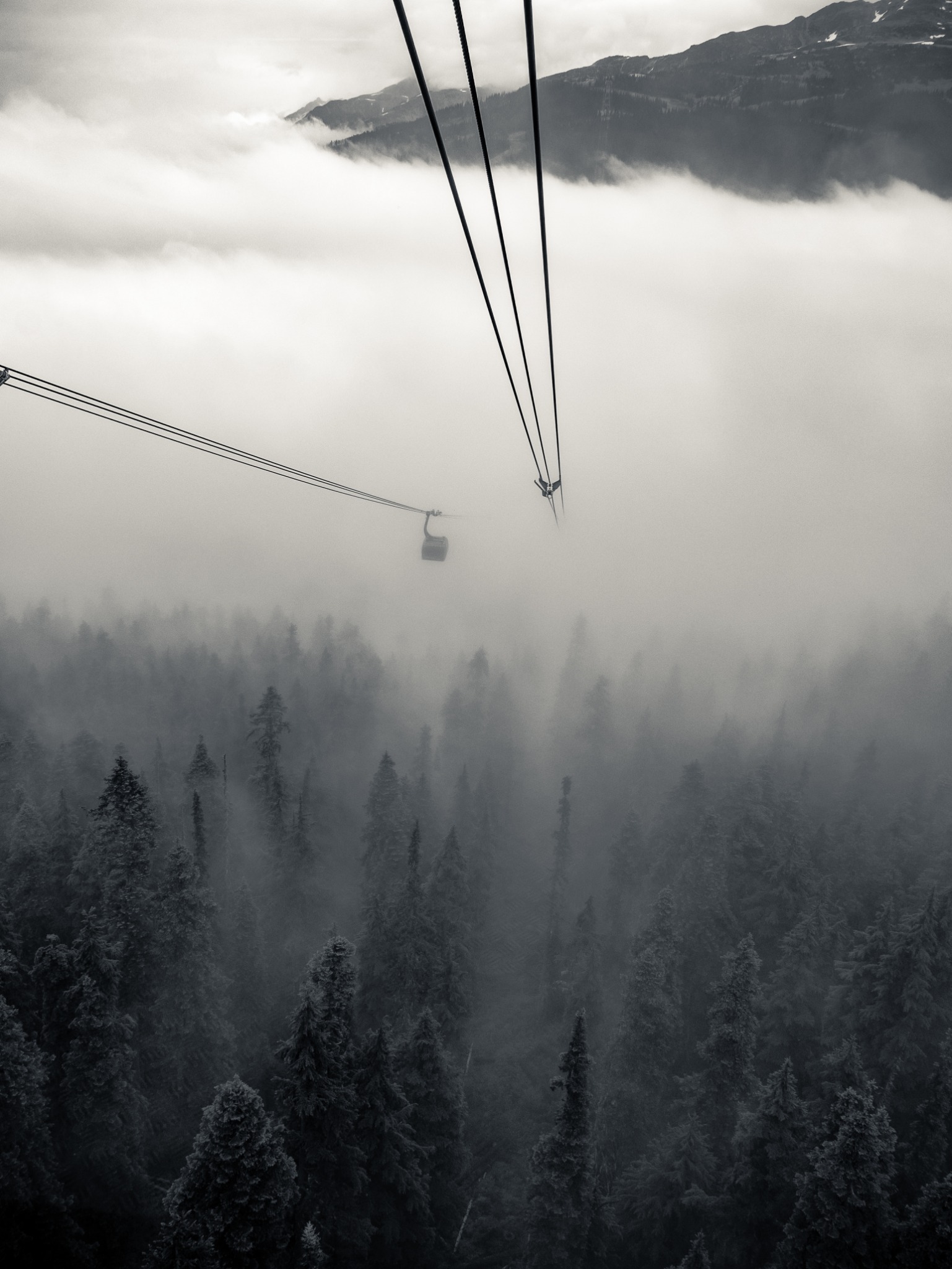Cable cars passing through fog above a forested mountain landscape
